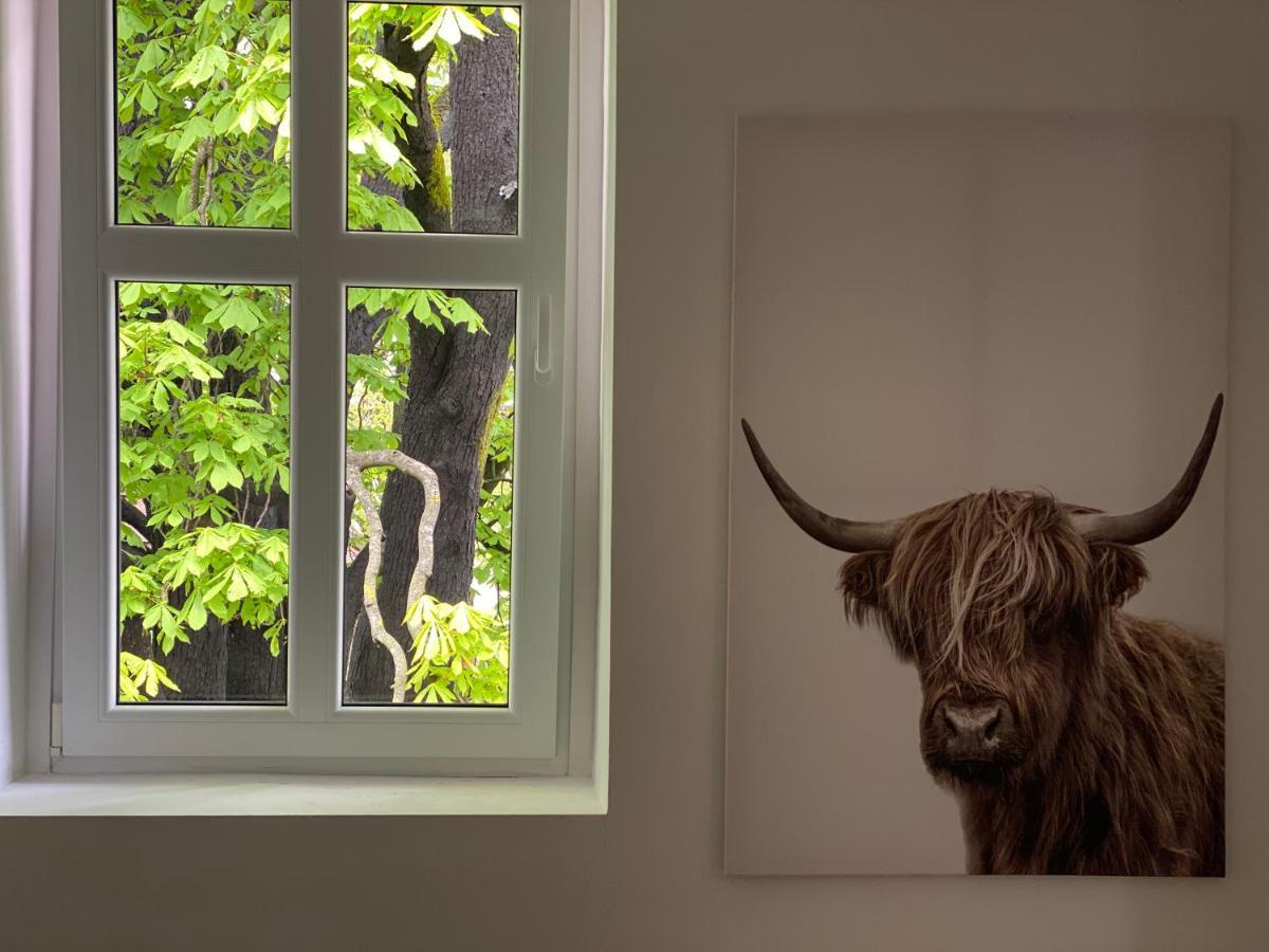 Green Corner Of Bovec - Apartment ボヴェツ エクステリア 写真